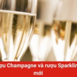 Phân biệt rượu Champagne và rượu Sparkling cho người mới