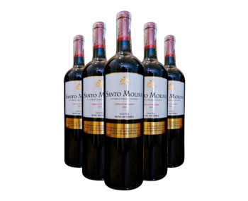 Rượu vang Chile Santo Molina Cabernet Sauvignon