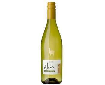 Rượu vang trắng Chile Alpaca Chardonnay