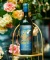 Rượu Vang Ý Parrot Amarone della Valpolicella Classico 