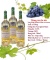 Rượu vang Pháp Francis Gillot Sauvignon Blanc