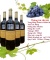 Rượu Vang Pháp Francis Gillot Merlot