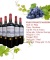 Rượu Vang France Maison Cabernet Sauvignon