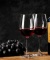 Rượu vang Pháp Nicolas Bordeaux 