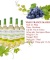 Rượu vang France Maison Sauvignon Blanc