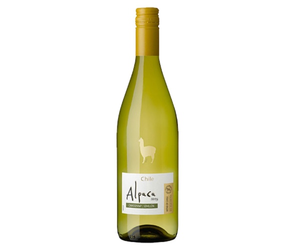 Rượu vang trắng Chile Alpaca Chardonnay
