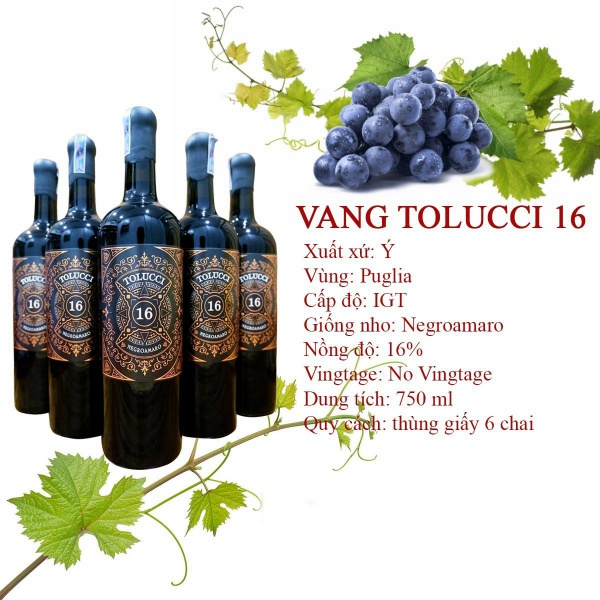Rượu vang Ý Tolucci 16
