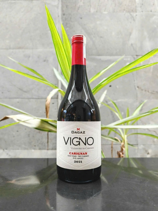 Dagaz VIGNO Carignan 2021 – Rượu Vang Chile Từ Nho Lâu Năm Vùng Maule