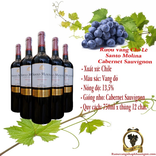 Rượu vang Chi Lê Santo Molina Cabernet Sauvignon