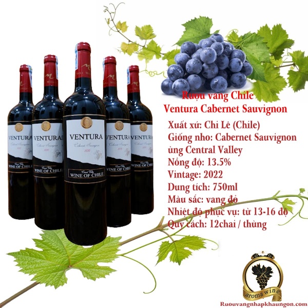 Rượu vang Chile Ventura Cabernet Sauvignon