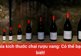 Ý nghĩa kích thước chai rượu vang: Có thể bạn nên biết!