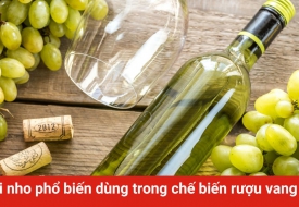 6 Loại nho phổ biến dùng trong chế biến rượu vang trắng
