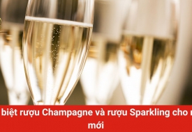 Phân biệt rượu Champagne và rượu Sparkling cho người mới
