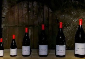 Ý nghĩa kích thước chai rượu vang: Có thể bạn nên biết!